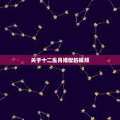 关于十二生肖婚配的视频，十二生肖的配对