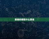 属猪的婚配什么更佳，83年属猪人三大坎