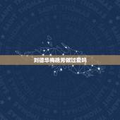 刘德华梅艳芳做过爱吗，刘德华爱过梅艳芳吗