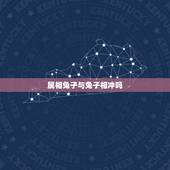 属相兔子与兔子相冲吗，属鼠和属兔的相冲吗