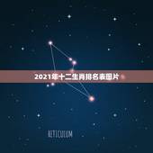 2021年十二生肖排名表图片，2021年十二生肖对照表