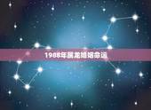 1988年属龙婚姻命运，88年属龙男的婚姻感情怎样