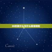 80的属什么与什么属相相配，80年阴历正月与什么属相最为相配？