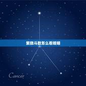 紫微斗数怎么看婚姻，求高人看紫微斗数命盘，主要看感情和婚姻……什么时候