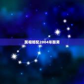 属相婚配2004年猴男，属猴的男的和什么属相婚配好