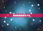 属猪跟猪属相合不合，属猪的和属猪的婚姻怎么样