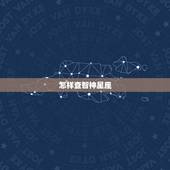 怎样查智神星座，怎样知道智神星落在那里