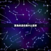 属兔的适合戴什么翡翠，属兔的带什么招财