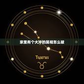 家里有个大冲的属相怎么破，五行十二生肖哪些相冲刑害破克？