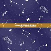 1979属羊五行属什么，生肖羊五行属什么，属羊的
