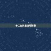 十二生肖最佳婚配图，十二生肖最佳配对表格