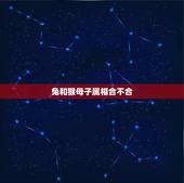 兔和猴母子属相合不合，兔子和猴子属相合不合