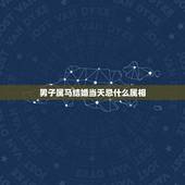 男子属马结婚当天忌什么属相，结婚当天忌讳什么属相