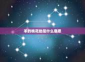 羊的桃花劫是什么意思，属羊女桃花位