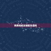 狗男和蛇女婚配合适吗，1977年属蛇女和1982年属狗男相配吗