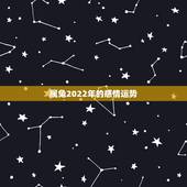 属兔2022年的感情运势，1971年属猪2022 年运势
