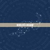 蛇的2022年运程，蛇2022 年运势如何