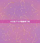 小三生了儿子能断得了吗，小三生了个儿子，老公能和她断了吗？