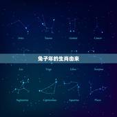 兔子是哪几年出生的呢(介绍兔子年生肖的由来)