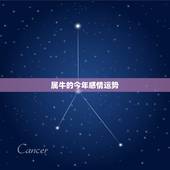 属牛的今年感情运势，属牛下半年感情运势