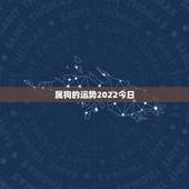 属狗的运势2022今日