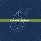 属狗的与什么相配婚姻更好，生肖狗的克星