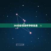 2022必定会怀孕的生肖，2022虎命太苦