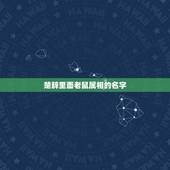 楚辞里面老鼠属相的名字，鼠年男宝宝取什么名字好听