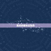 属虎的哪年出生的，属虎的是哪一年的