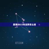 属兔2022年运势怎么样，属兔2022 年幸运色是什么颜色
