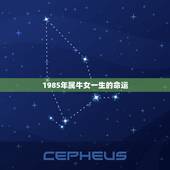 1985年属牛女一生的命运，85年属牛的姻缘在哪年