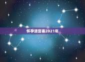 怀孕清宫表2021年，生男生女清宫图2021年推算表是农历还是阳历