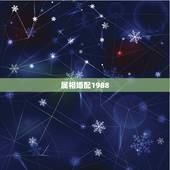 属相婚配1988.10.27女，88年属龙的和什么属相最配