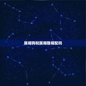 属相狗和属相猴相配吗，今年是狗年，狗和什么属相般配