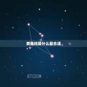 男兔找属什么最合适，1987每属兔一生有二婚