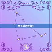 兔子和马合婚不，属兔和属马合不合得来？