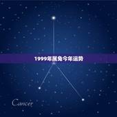 1999年属兔今年运势，1999年出生属兔的白羊座今年运势