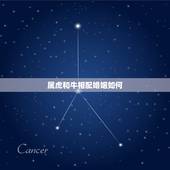 属虎和牛相配婚姻如何，十二生肖虎和牛婚姻怎么样