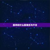 属鸡和什么属相合与不合，我和老婆都属鸡，经常吵架，说是属相不合，有什么