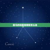 属马的和属相婚配怎么选，属马的和什么属相最配