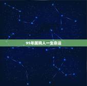 95年属狗人一生命运，94年属狗人注定的婚姻