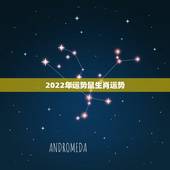 2022年运势鼠生肖运势，2021年生肖鼠的全年运势