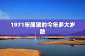 1971年属猪的今年多大岁数，1971年出生今年多大了