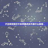 子丑寅卯辰巳午未申酉戌亥代表什么属相，子丑寅卯辰巳午未申酉戌亥哪些是阳