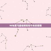 90年属马最佳婚配和今年的婚姻，90年属马男与93年属鸡女婚配如何？