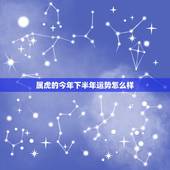 属虎的今年下半年运势怎么样，2021年属虎下半年要出大事？