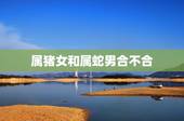 属猪女和属蛇男合不合，女猪与男蛇配夫妻怎么样