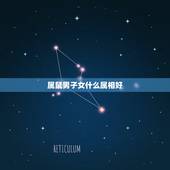 属鼠男子女什么属相好，男方属鼠女方属兔生什么属相的孩子好