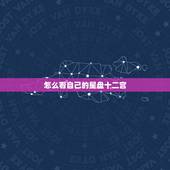 怎么看自己的星盘十二宫，怎样查询自己的星座十二宫啊？