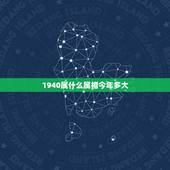 1940属什么属相今年多大，属龙的今年多大？